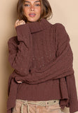 brown knitted turtle neck sweater