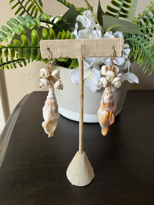 Sea Shell Drop Earrings