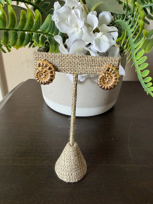 Gold Shell Earrings